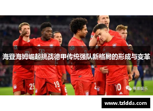 海登海姆崛起挑战德甲传统强队新格局的形成与变革