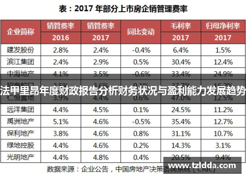 法甲里昂年度财政报告分析财务状况与盈利能力发展趋势