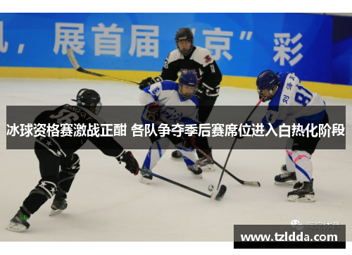 冰球资格赛激战正酣 各队争夺季后赛席位进入白热化阶段