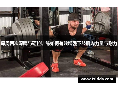 每周两次深蹲与硬拉训练如何有效增强下肢肌肉力量与耐力