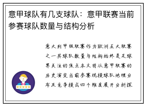 意甲球队有几支球队：意甲联赛当前参赛球队数量与结构分析