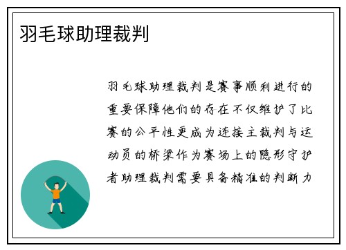 羽毛球助理裁判